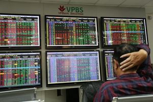 VN shares plummet on poor show of large-caps