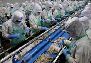 Viet Nam’s exports of seafood to EU crash