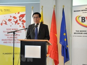Belgian businesses seek cooperation opportunities in Viet Nam
