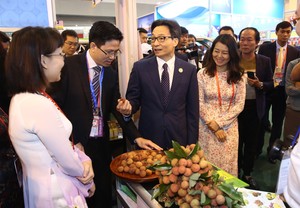Deputy PM attends 5th China-South Asia expo