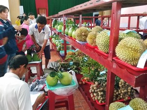 Ben Tre brands unique local fruits