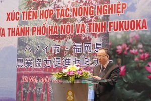 Ha Noi and Fukuoka boost agricultural cooperation