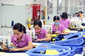 New enterprises up 5.3% in H1