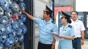 Hai Phong customs proposes to ease specialised inspection