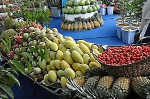 Prices fall as fruit floods City markets