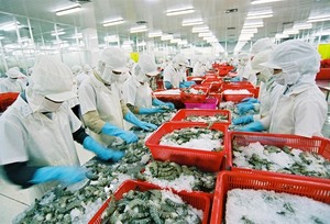VASEP urges Gov’t to protect Viet Nam shrimp