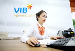 VIB records positive business results in H1