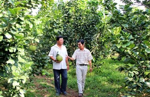 Tay Ninh links farmers, businesses