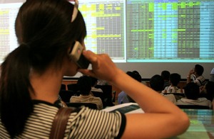 Blue chip stocks lift up VN-Index
