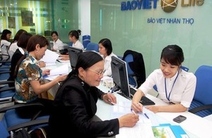 Bao Viet tops Viet Nam insurance market