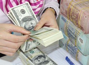Dollar/dong exchange rate cools down