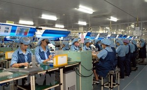 Growth in VN-Argentina trade