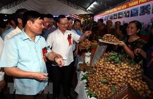 Hung Yen Province holds longan festival
