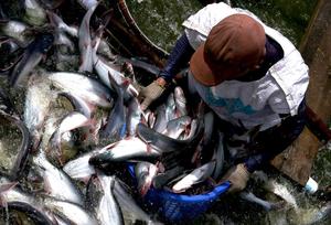PPP deal aims for sustainable fishing