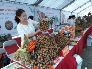 Hung Yen longan week opens in Ha Noi