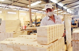 PM to chair meeting on wood exports