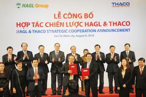 Thaco signs strategic deal with HAGL