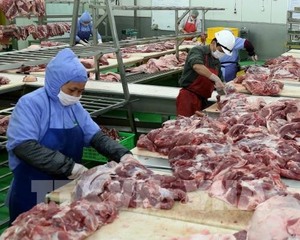 VN suspends pork imports from Hungary and Poland