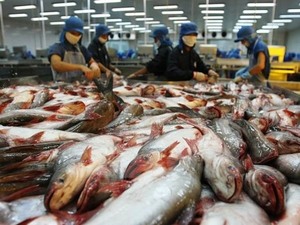 US proposes maintaining VN eligibility to export catfish