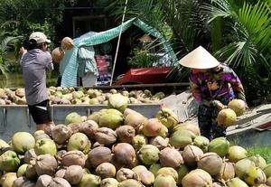 Ben Tre promotes investments in agriculture