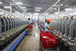 Number of firms in Viet Nam surges by over 50%