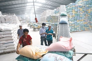 Viet Nam helds international conference on export rice