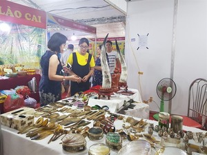 Vietnamese Goods Fair kicks off in Ha Noi