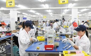 Japanese firms see Viet Nam as top investment destination in Asia