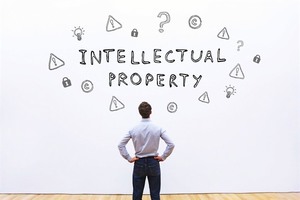 Start-ups urged to pay more attention to intellectual property