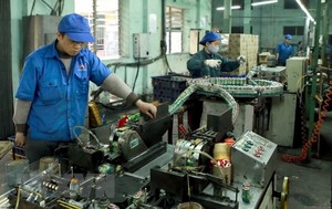 Viet Nam posts positive year in 2018