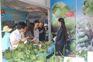 First Ben Tre goods fair opens in HCMC
