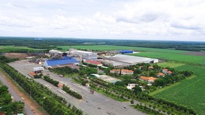 Sugar firm remains in VN30 Index