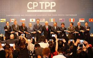 Prime Minister approves plan to implement CPTPP