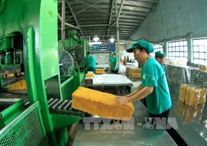 Rubber exports rise in volume but decrease in value