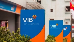 VIB earns $252 million in nine-month revenue
