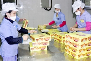 Huu Nghi confectionery to raise VNĐ100 billion to pay debts