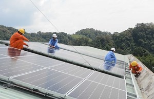 French Development Agency funds EVN’s solar power project
