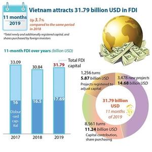 FDI inflows into Viet Nam surge in 11 months