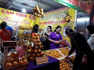 Orange lovers indulge in Nghe An Orange and Specialties Week