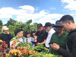 Global NESCAFÉ Plan initiative contributes to sustainability of Vietnamese coffee farming