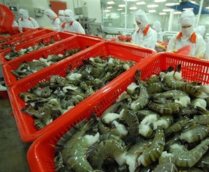 Viet Nam to promote shrimp exports to EU next year