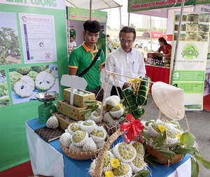 Tay Ninh promotes safe agricultural products, foodstuff in HCM City