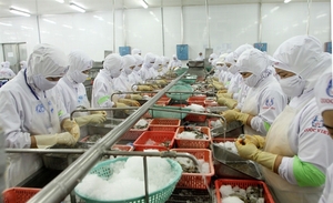 Viet Nam, Egypt to strengthen trade cooperation
