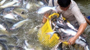 Viet Nam to fall short of fisheries export target