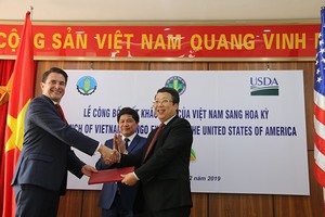 Vietnamese mangoes to be exported to US