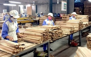 Timber industry asked to beat $11 billion in export