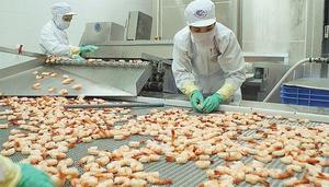 VN targets $4.2b shrimp exports
