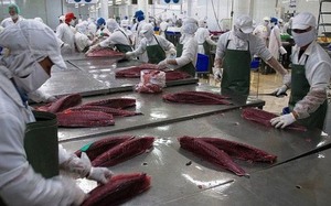 Viet Nam gains trade surplus of $250m with Canada