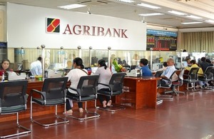 South Korean financial group likely to invest in Agribank