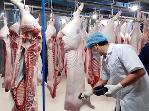 MM Mega Market Vietnams diligent efforts to control pork quality
